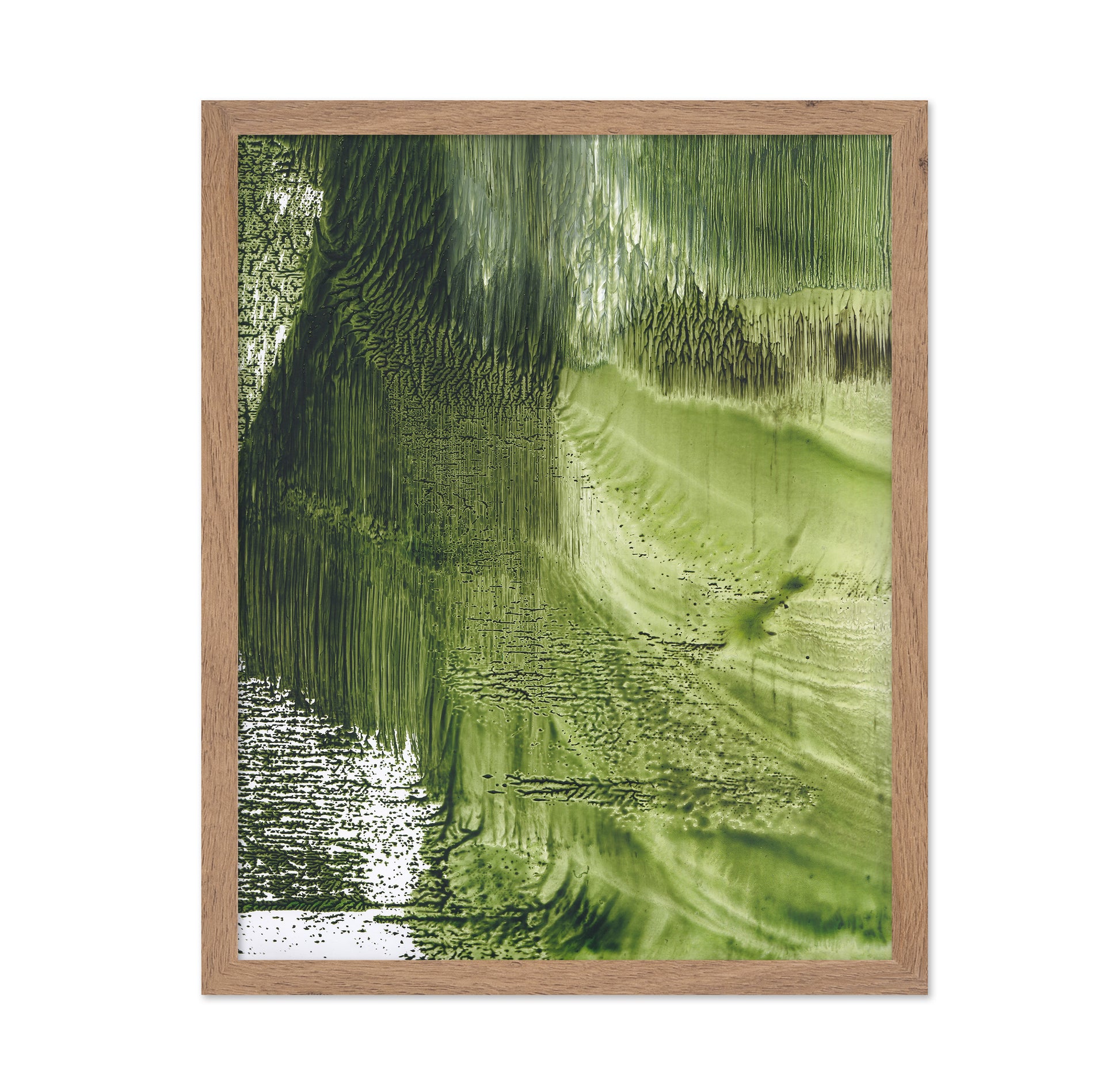 Green Forest Texture
