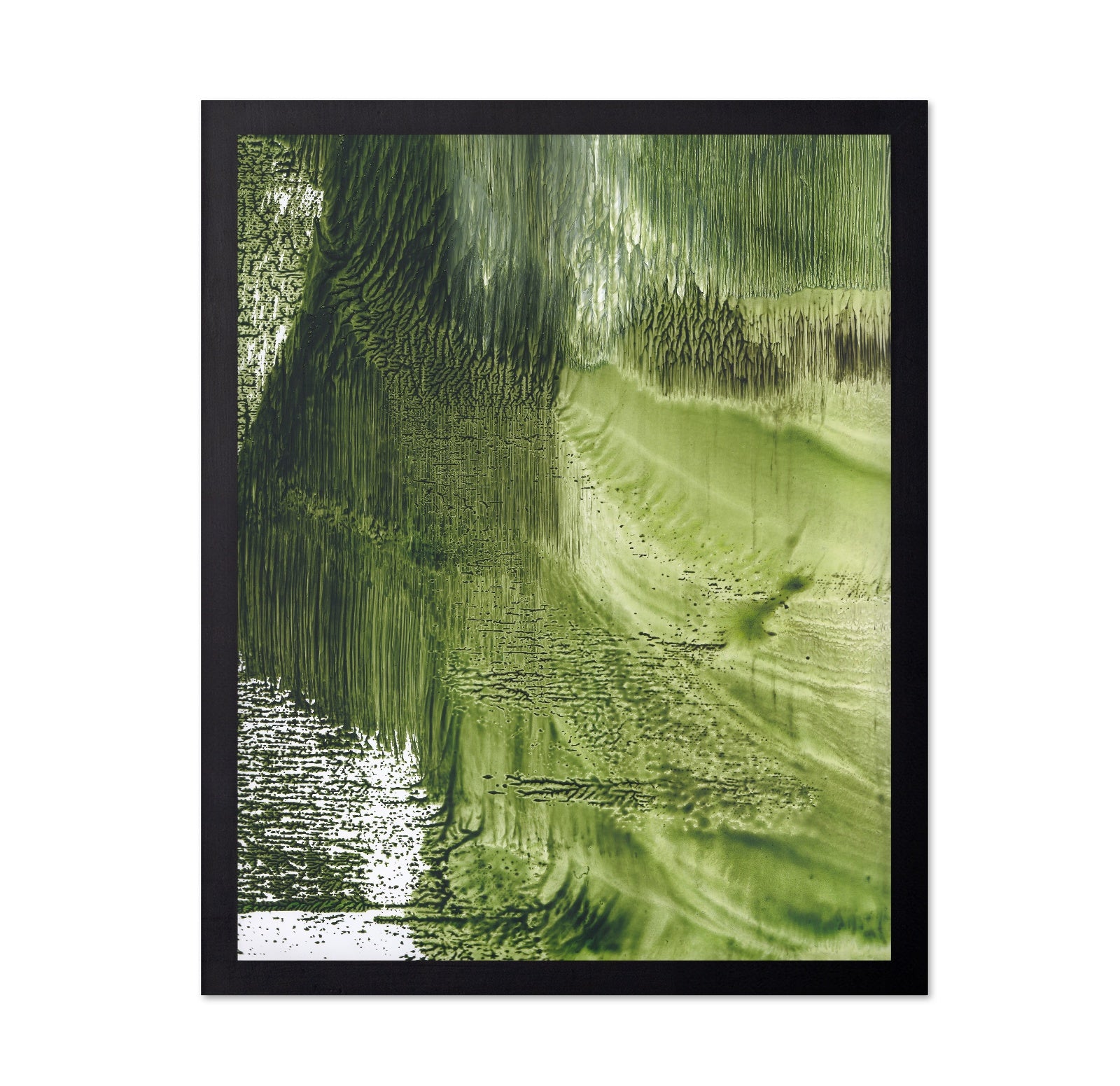 Green Forest Texture