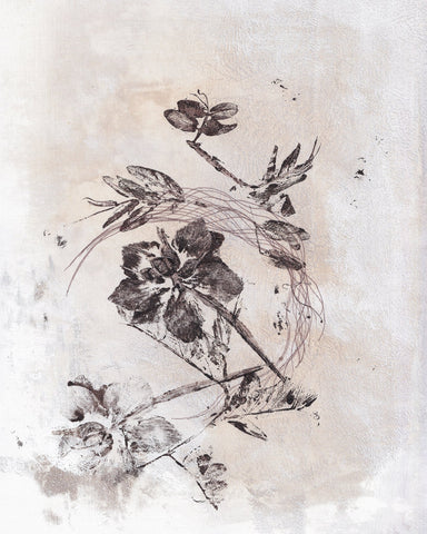 Delicate Floral Sketch
