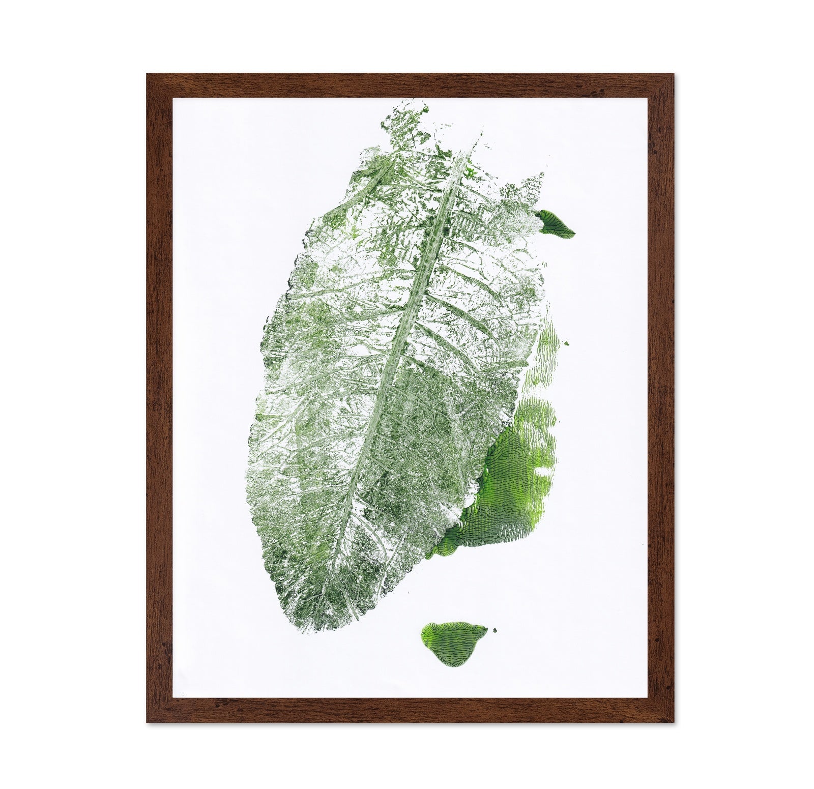Leaf Imprint Study