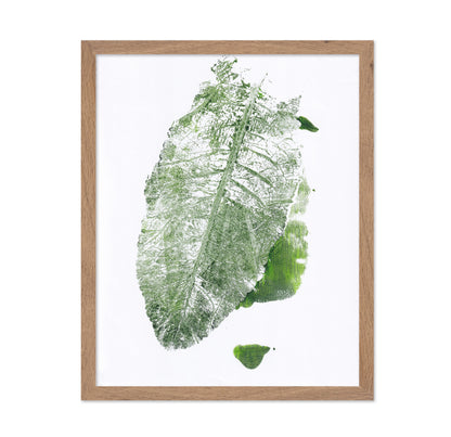 Leaf Imprint Study