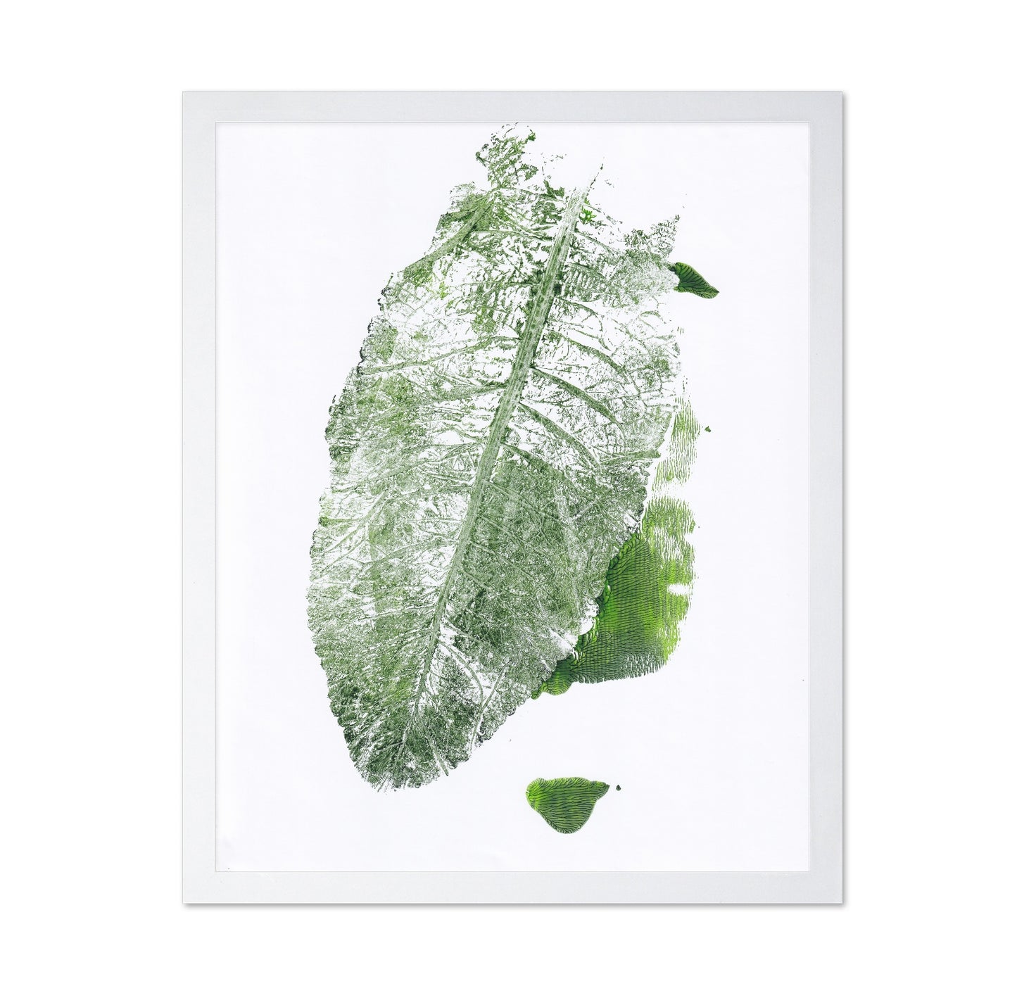 Leaf Imprint Study