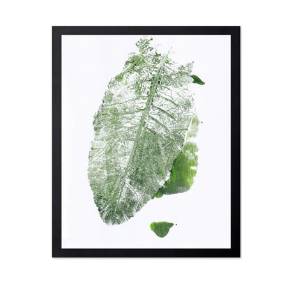 Leaf Imprint Study