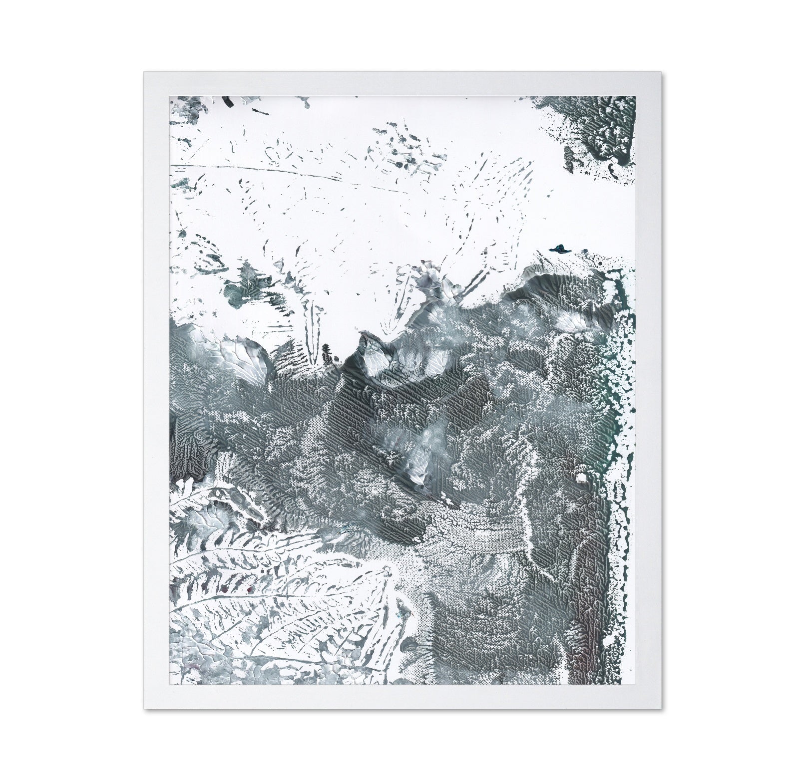 Botanical Fractal Study