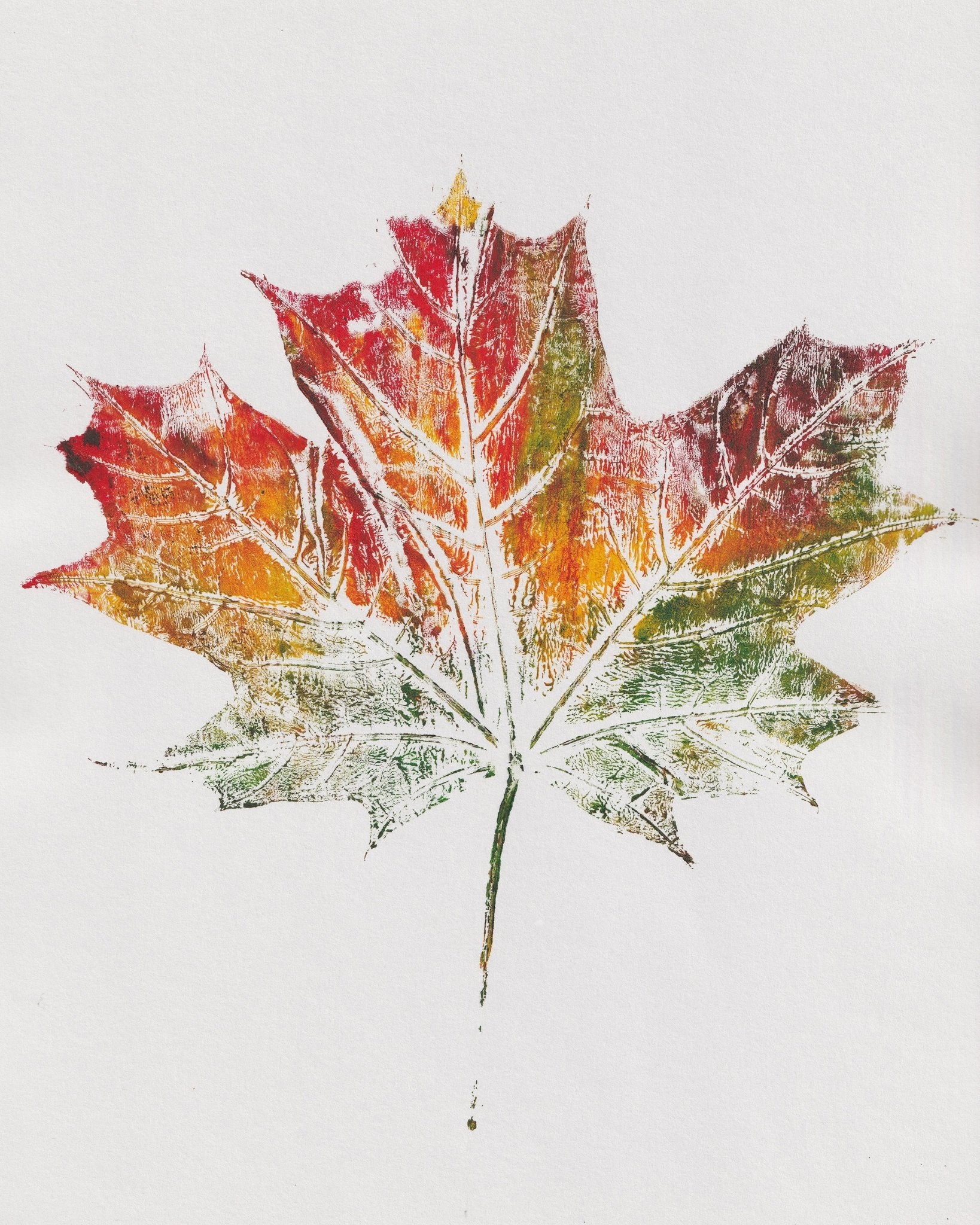 Autumn Maple