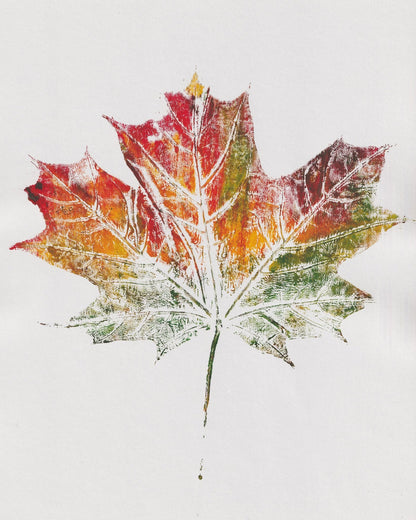 Autumn Maple