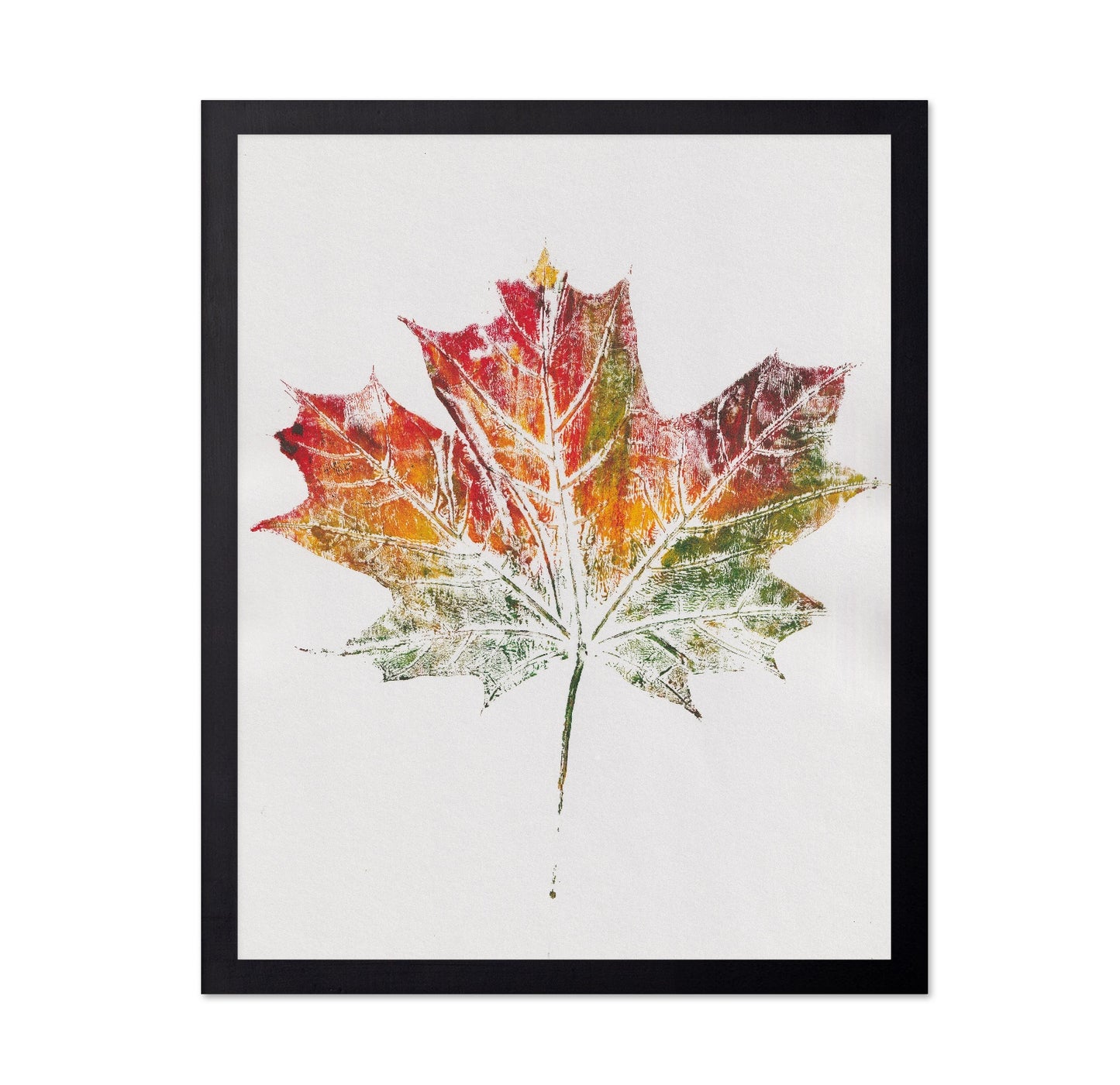 Autumn Maple