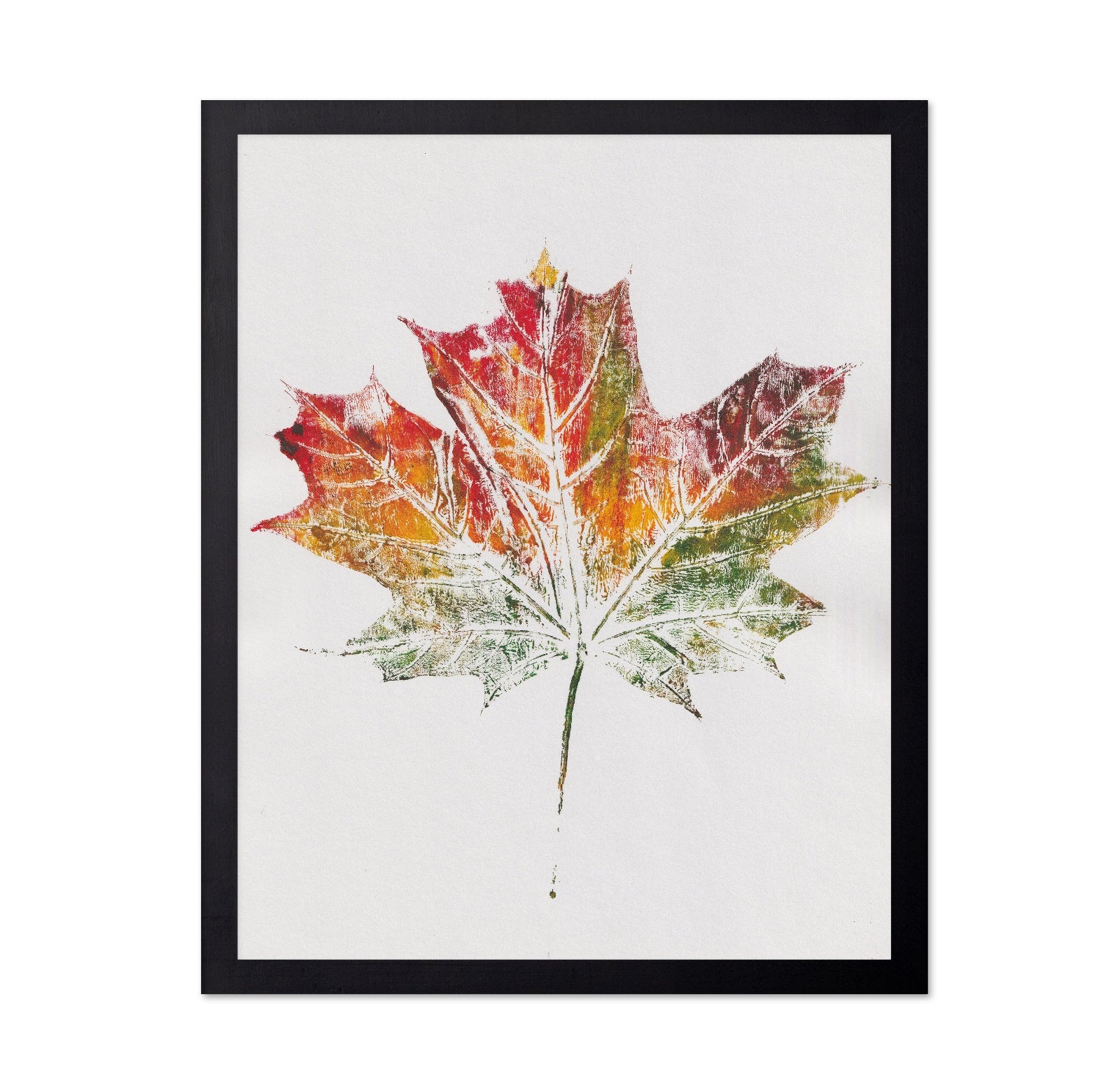 Autumn Maple