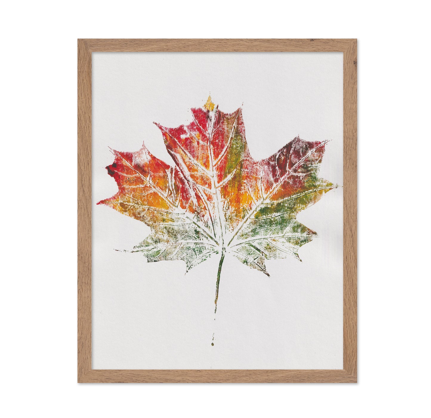 Autumn Maple