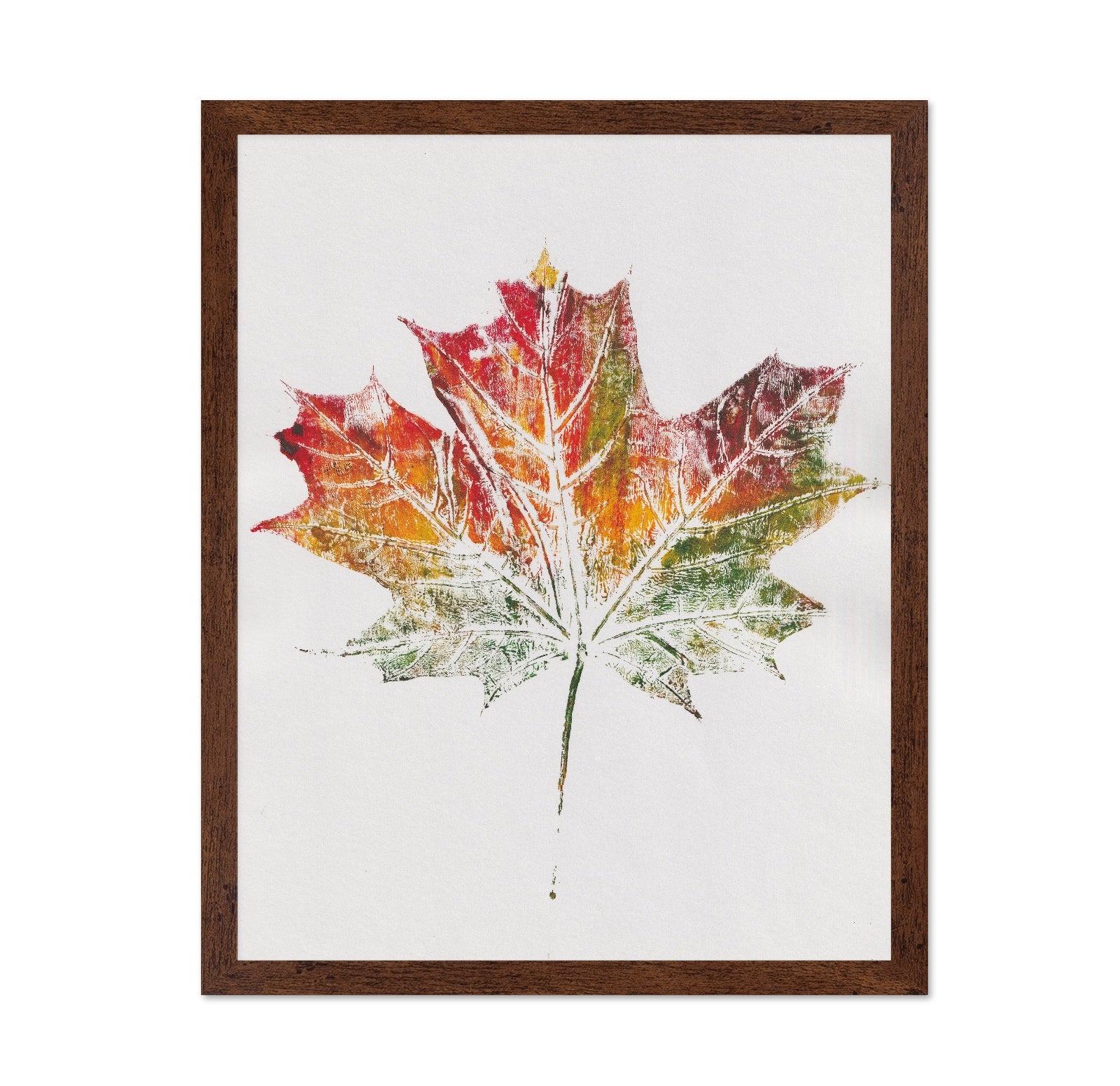 Autumn Maple