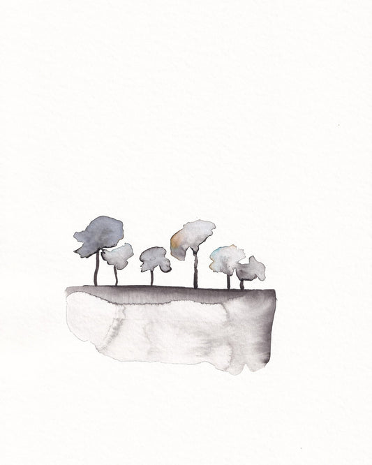 Quiet Grove