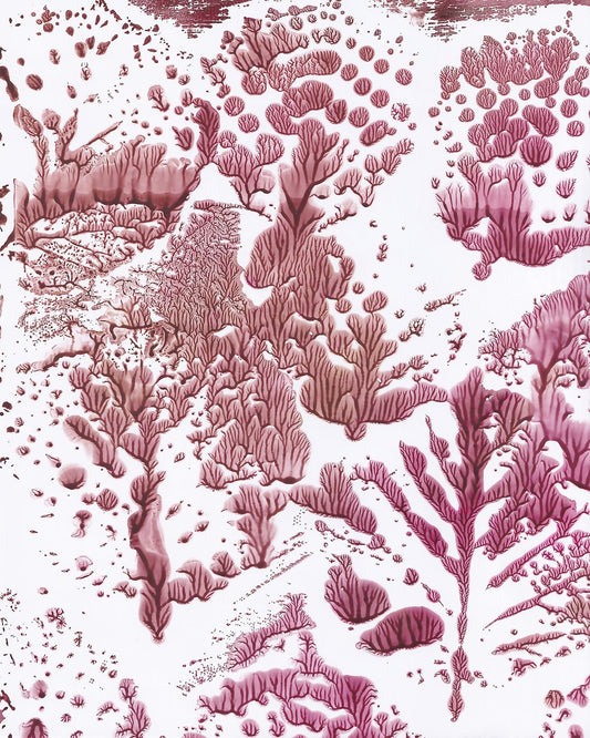 Coral Fractal Pattern
