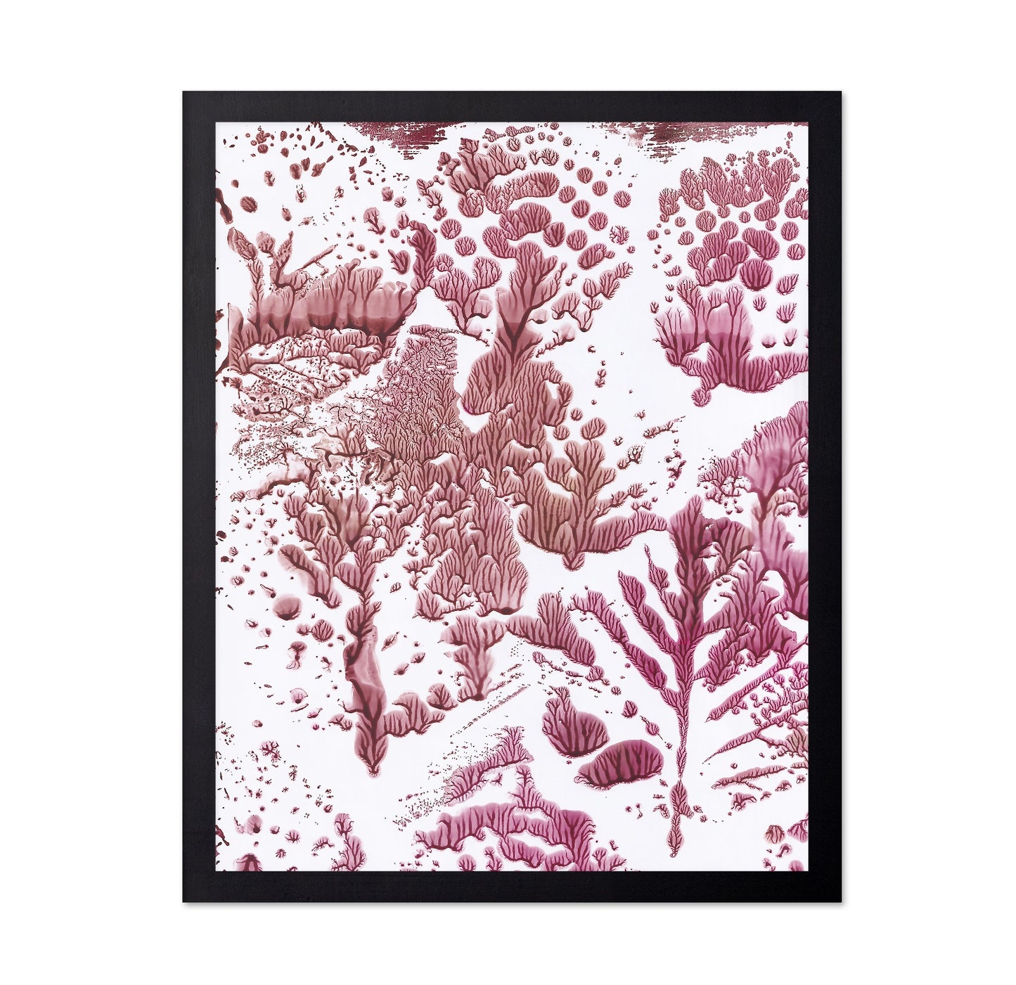 Coral Fractal Pattern