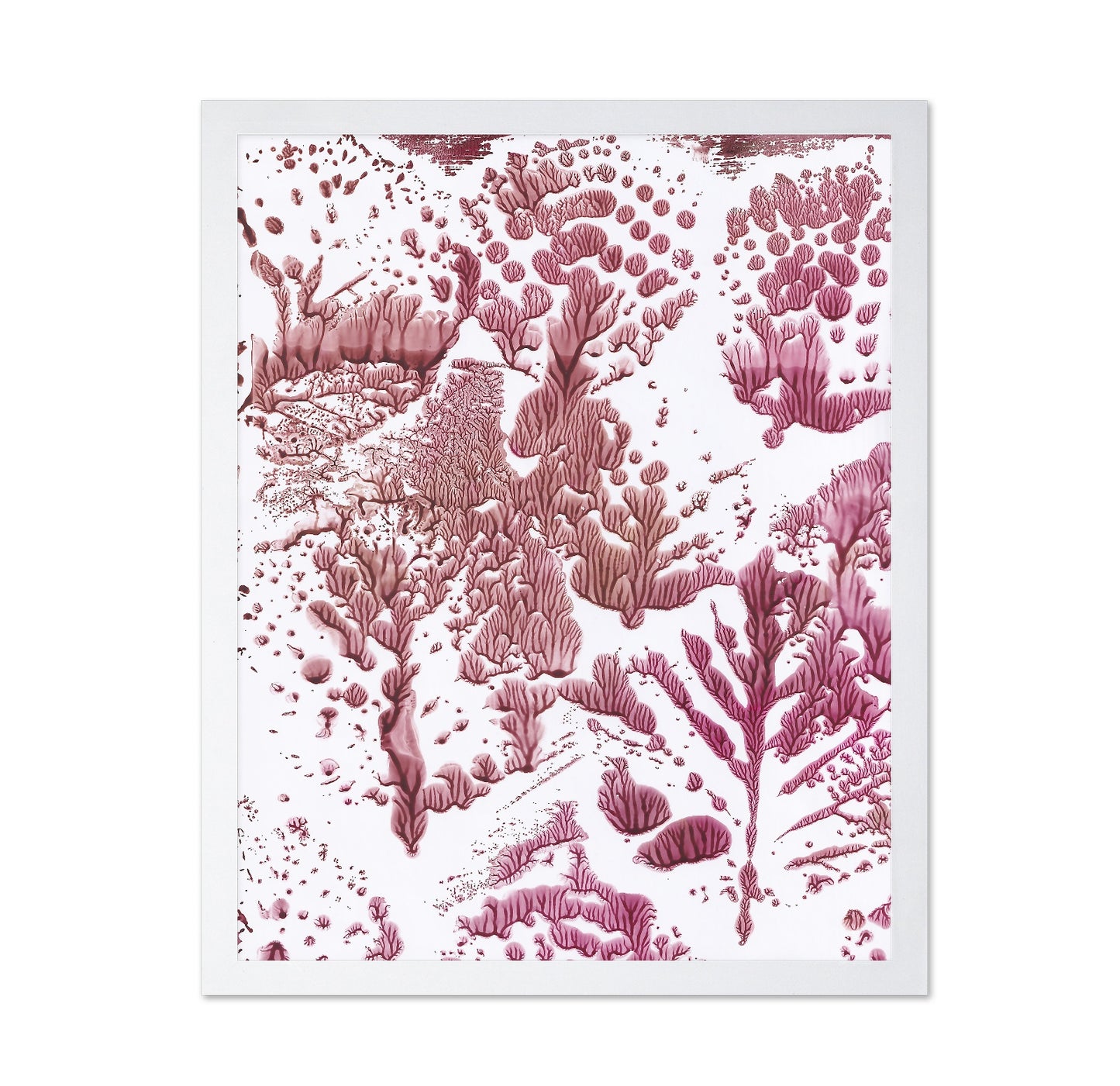 Coral Fractal Pattern
