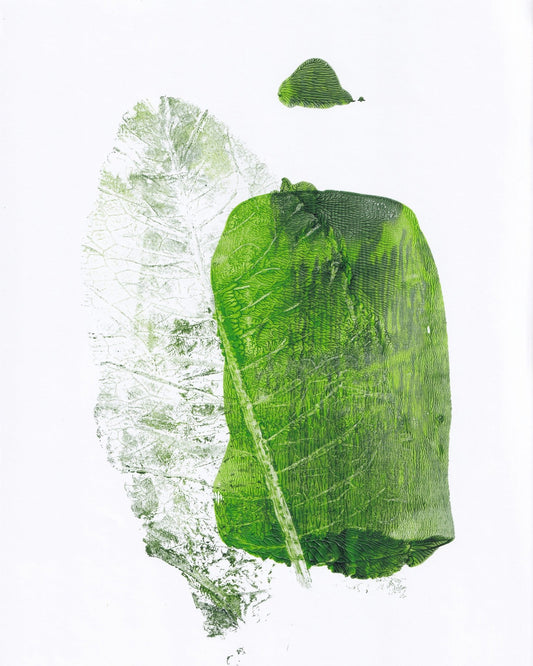 Green Leaf Texture No3