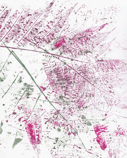Pink Fern Imprint No2