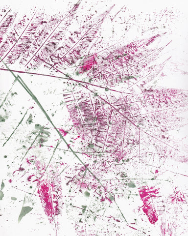 Pink Fern Imprint No2