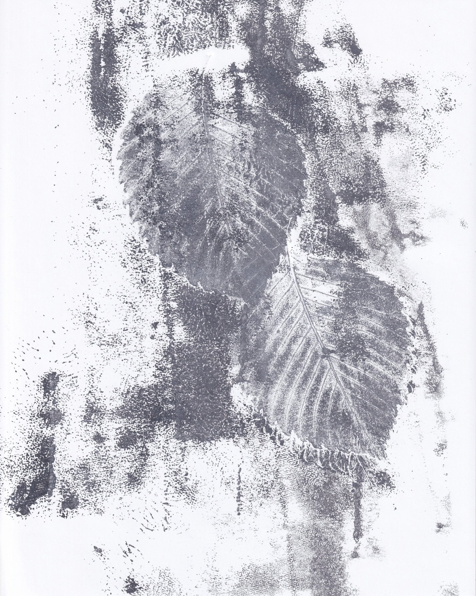 Monochrome Leaf Imprint