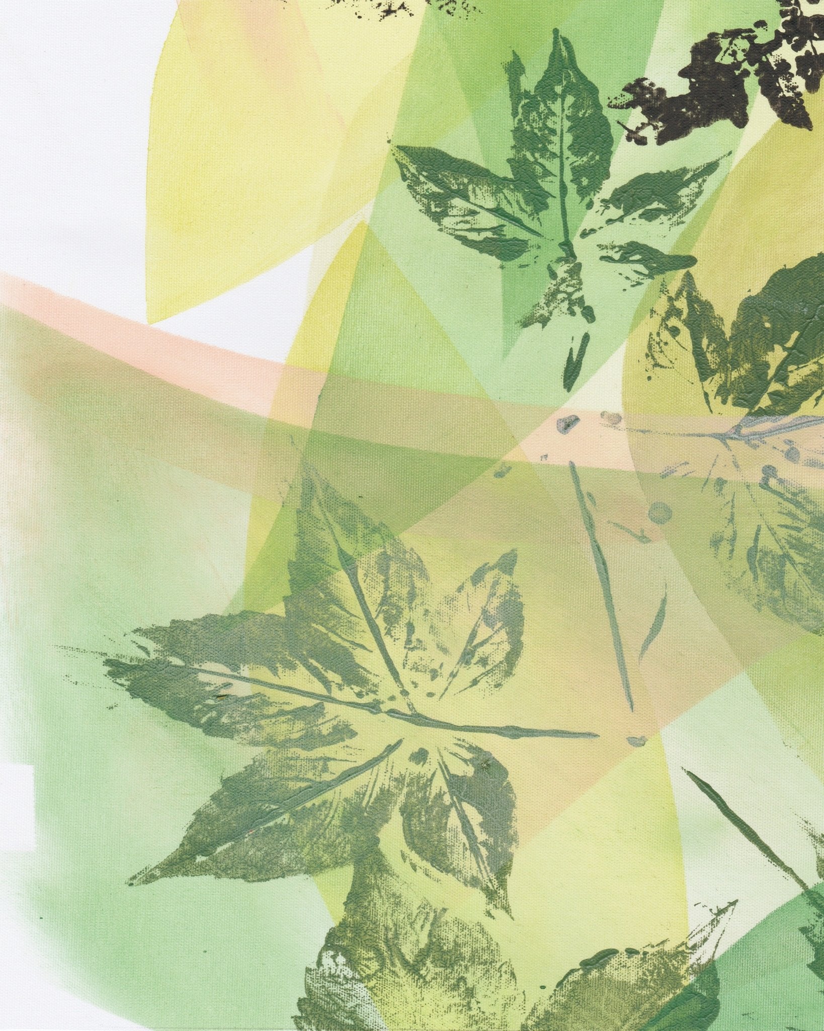 Green Leaf Abstract