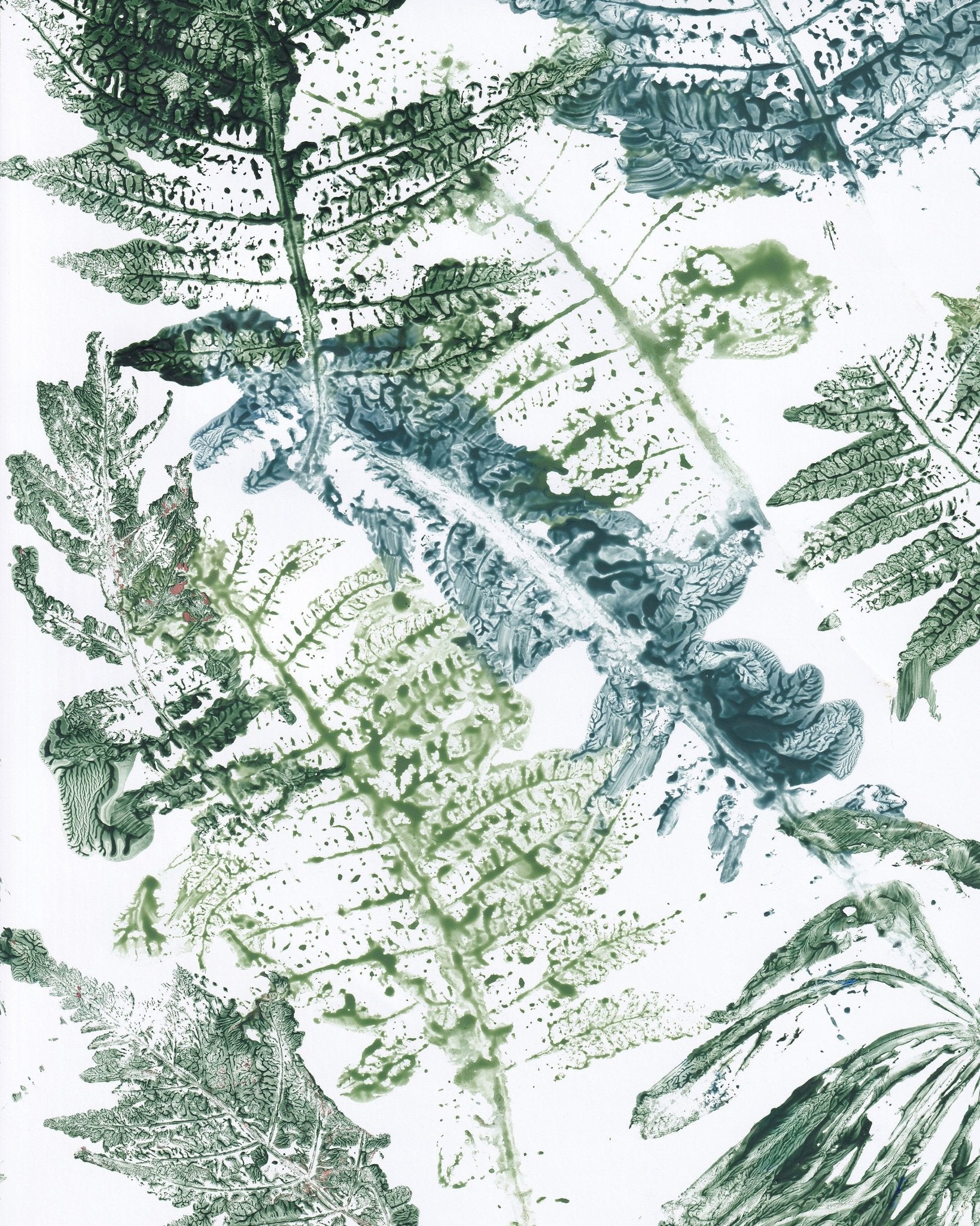 Fern Imprint Abstract