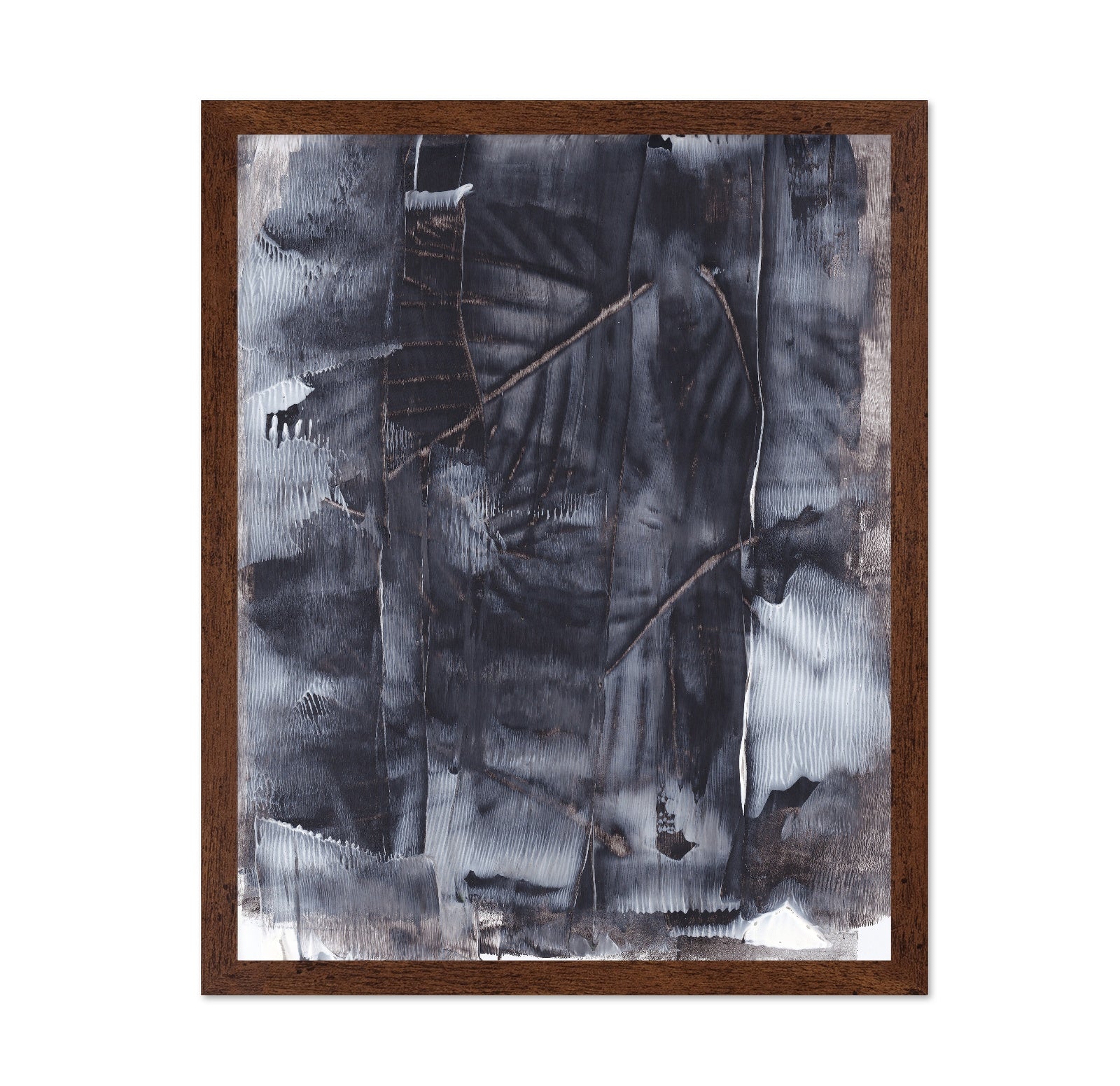 Dark Forest Texture