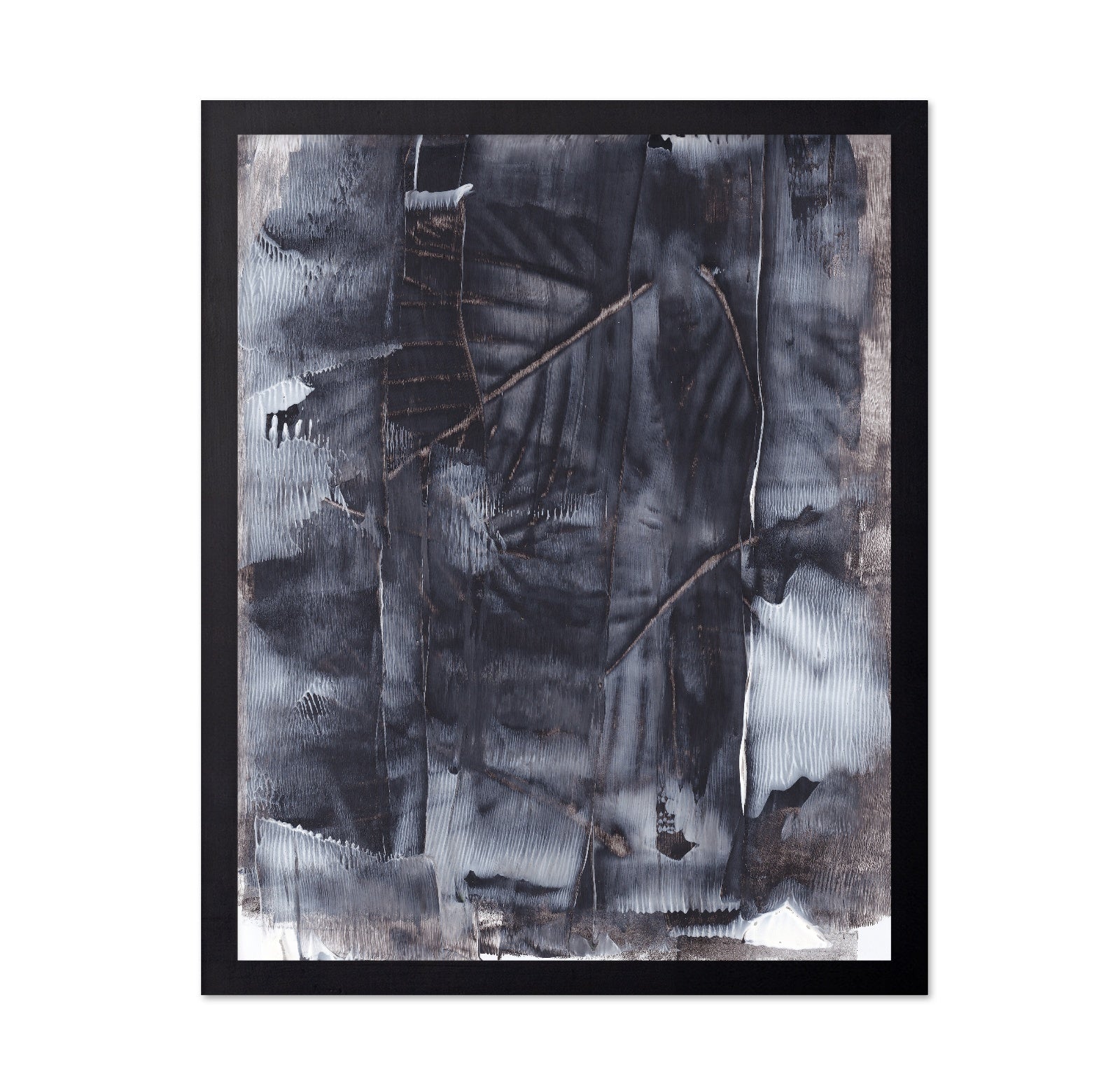 Dark Forest Texture