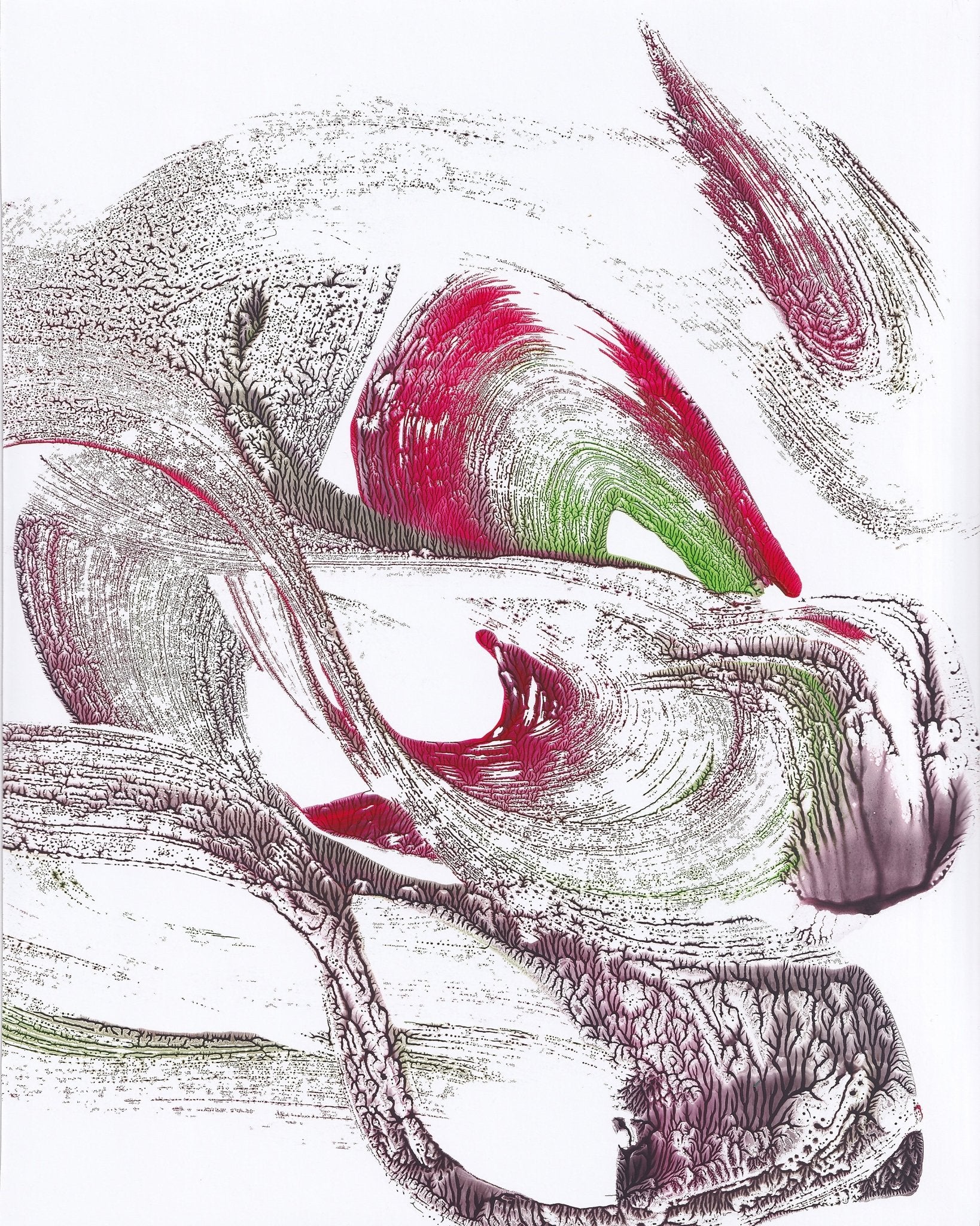 Fluid Motion Forms