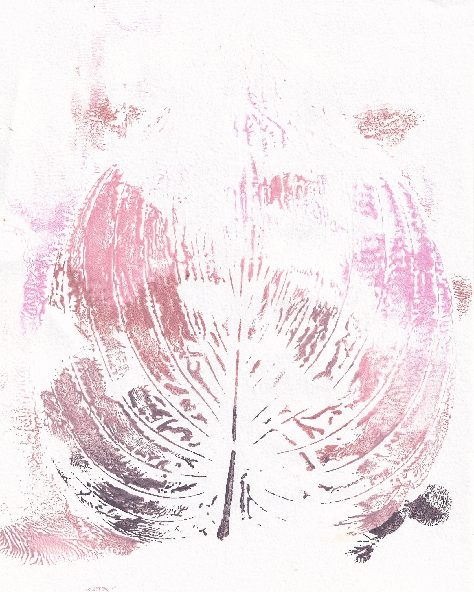 Soft Pink Leaf
