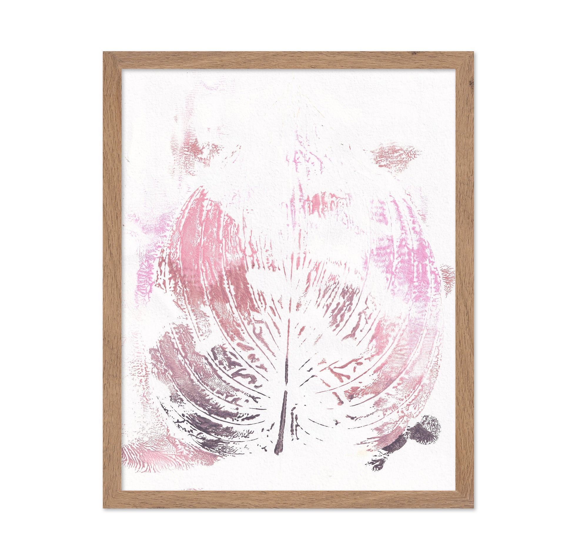 Soft Pink Leaf
