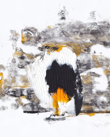 Abstract Penguin Form