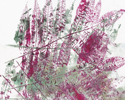 Pink Fern Imprint No3
