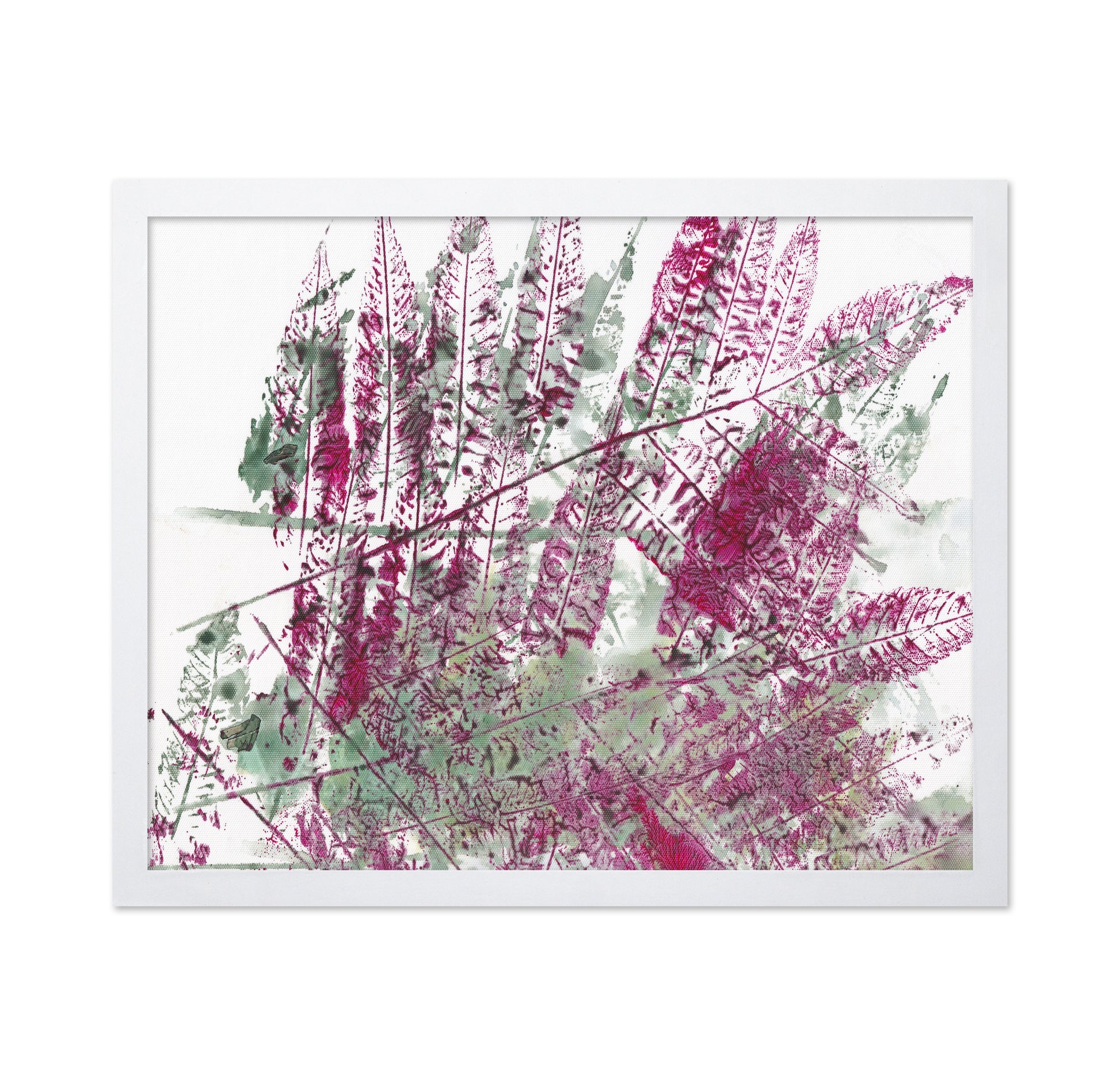Pink Fern Imprint No3