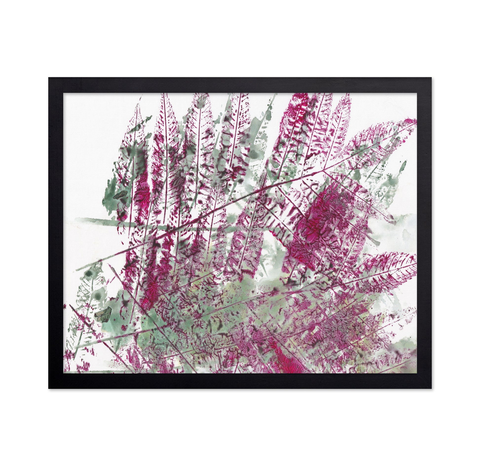Pink Fern Imprint No3