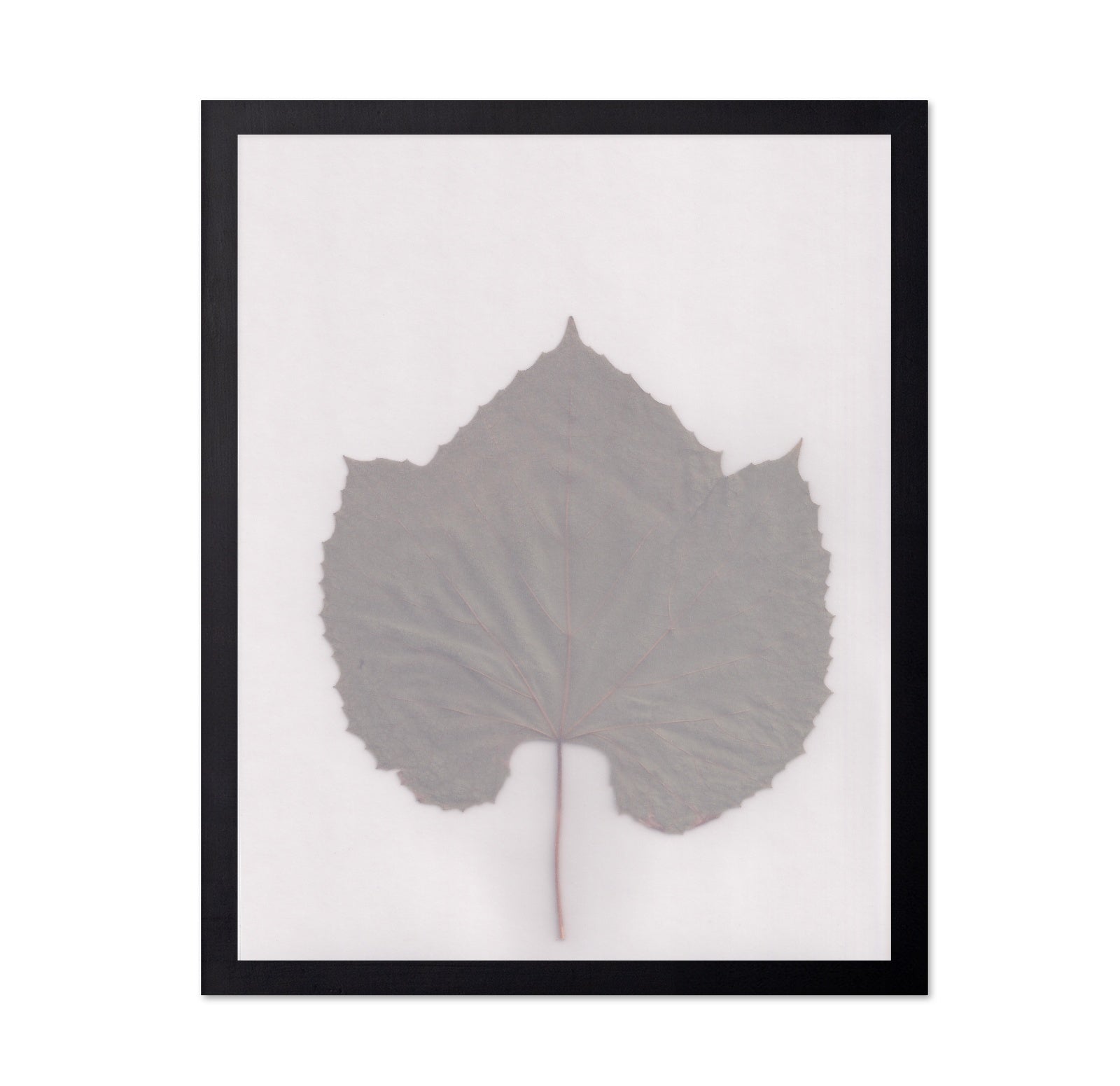 Muted Leaf No3