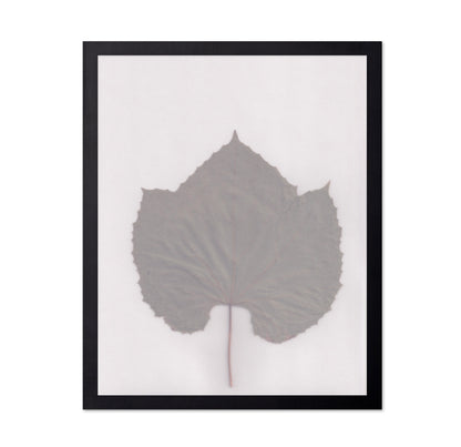 Muted Leaf No3