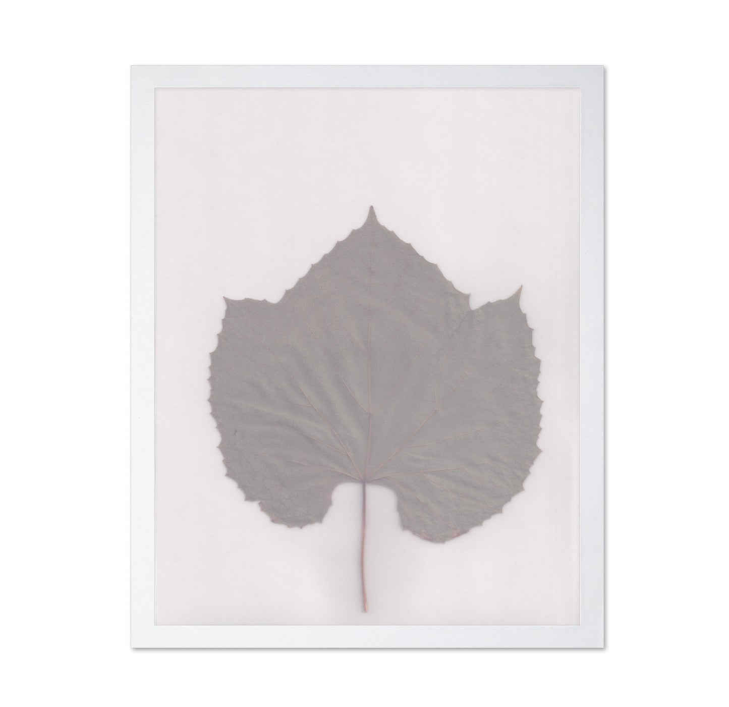 Muted Leaf No3