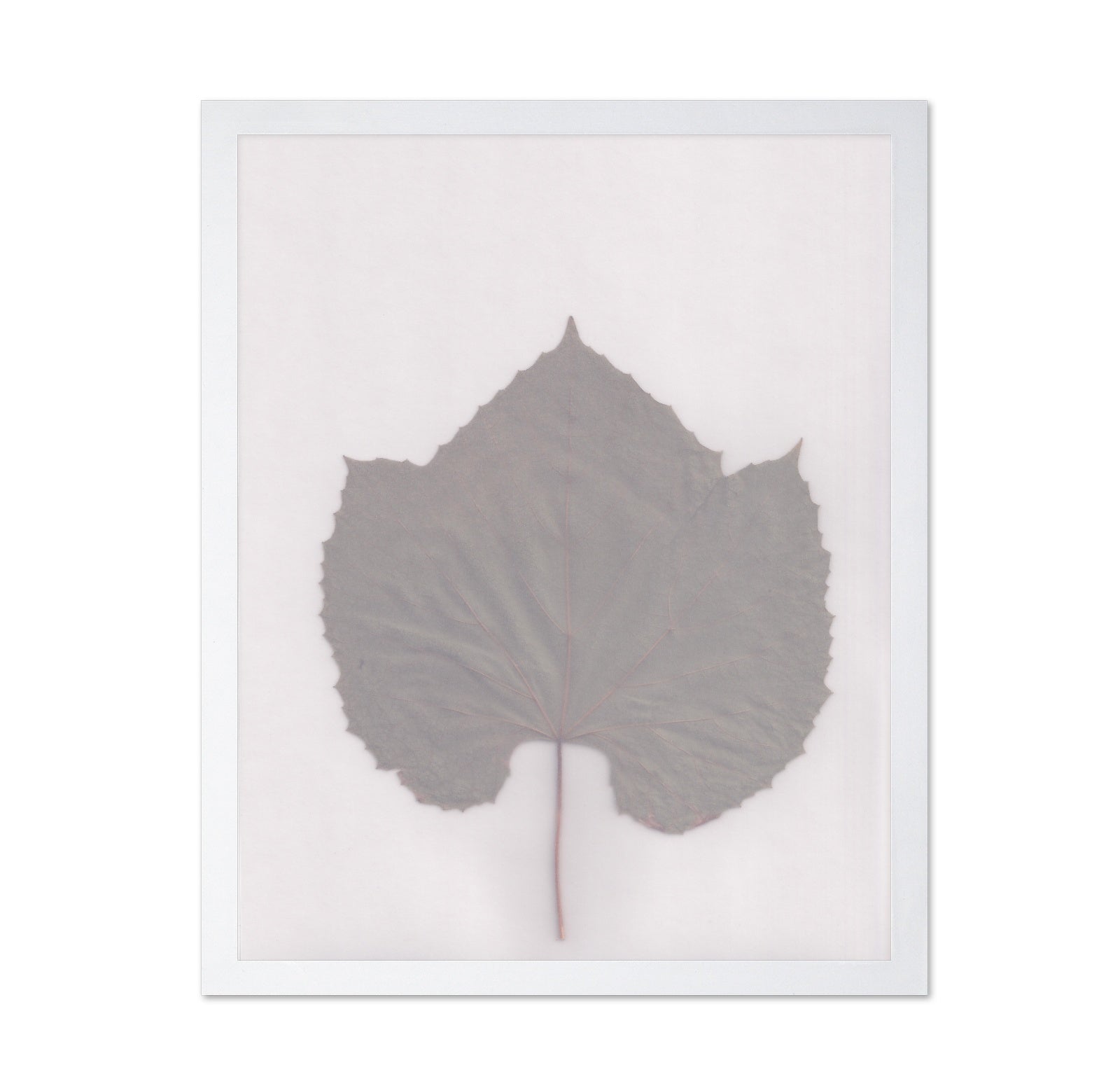 Muted Leaf No3