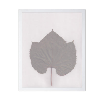 Muted Leaf No3