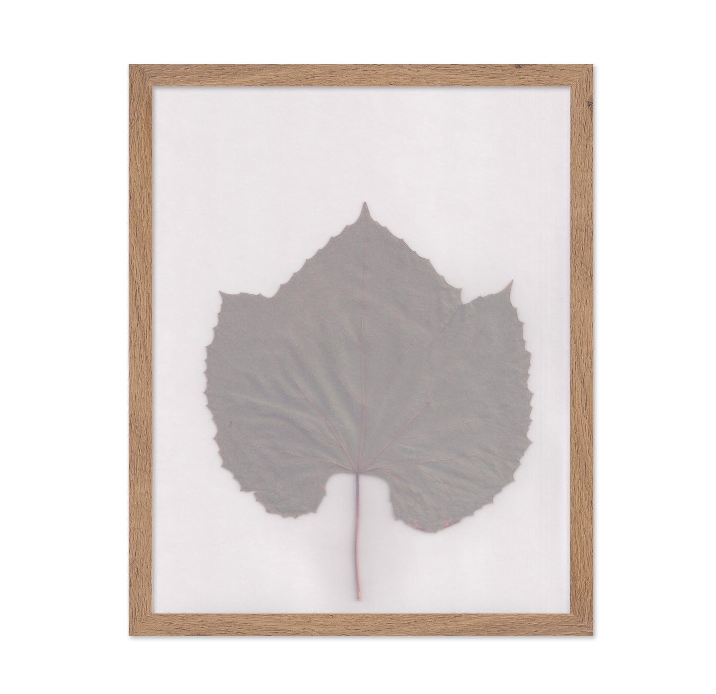 Muted Leaf No3