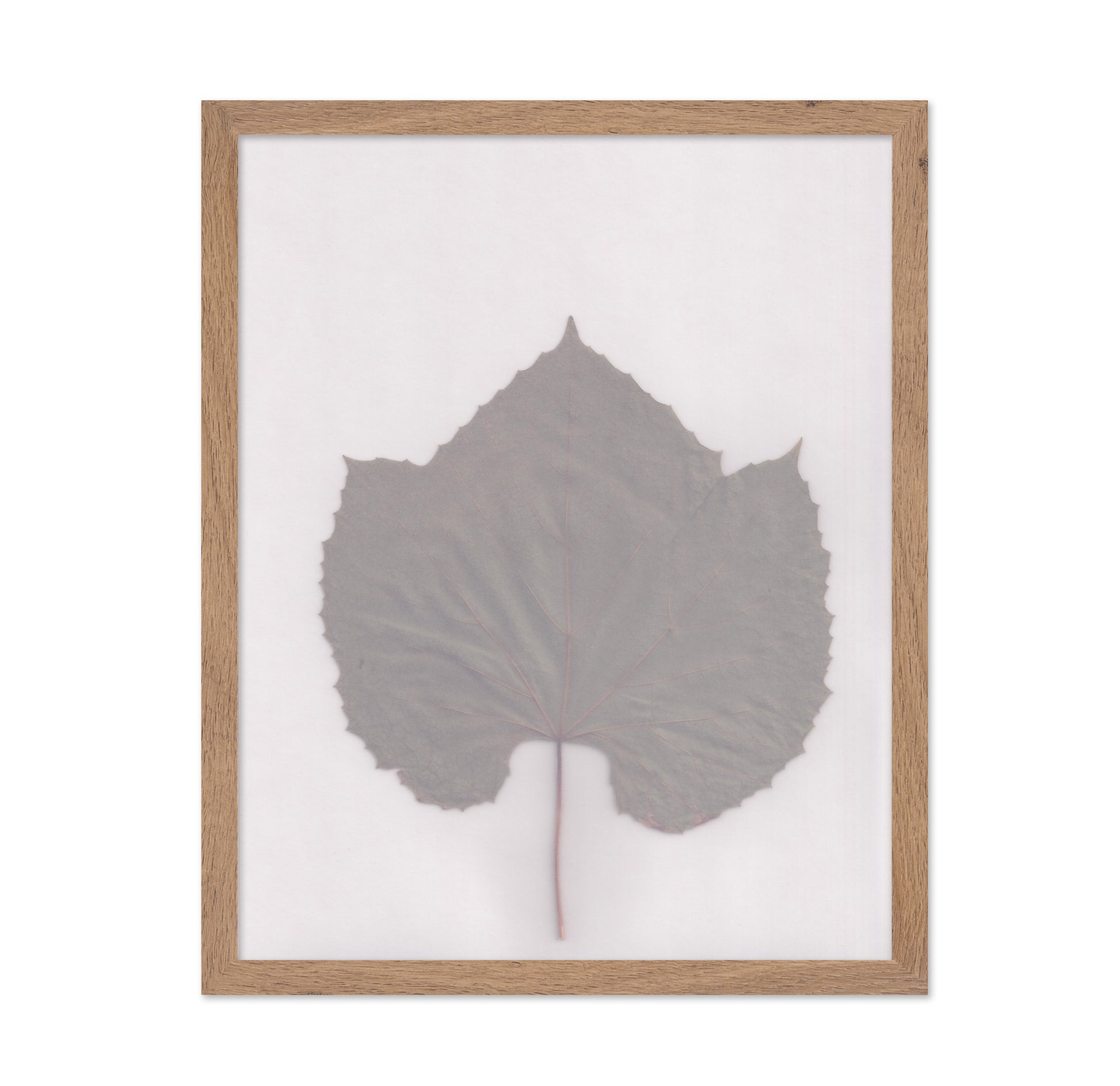 Muted Leaf No3