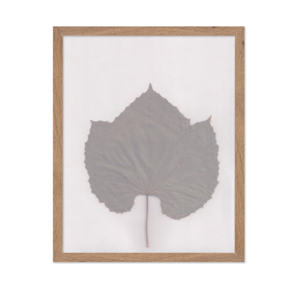 Muted Leaf No3