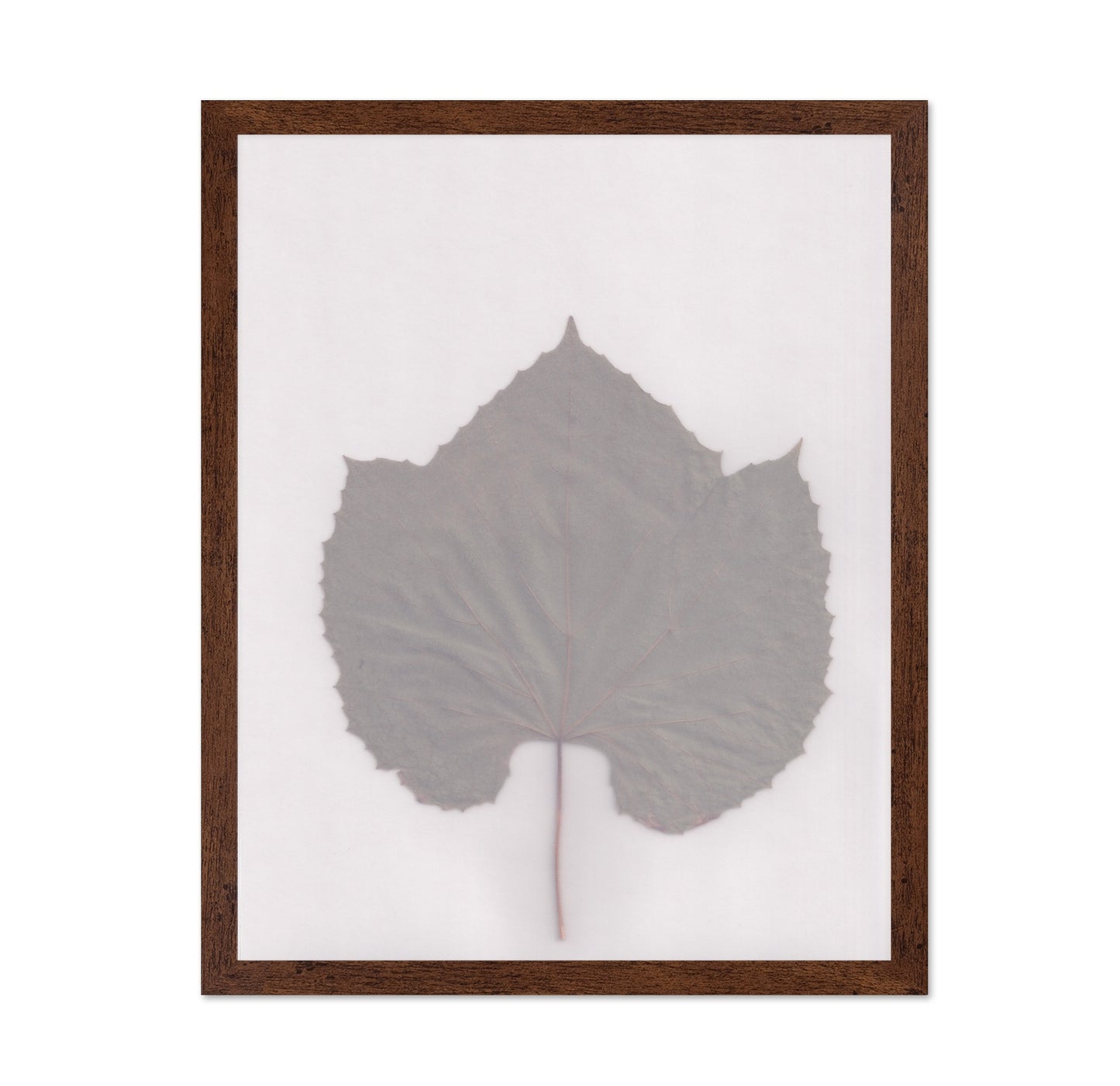 Muted Leaf No3