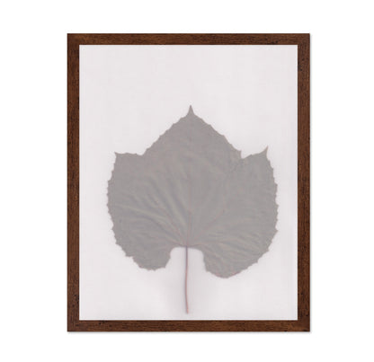 Muted Leaf No3