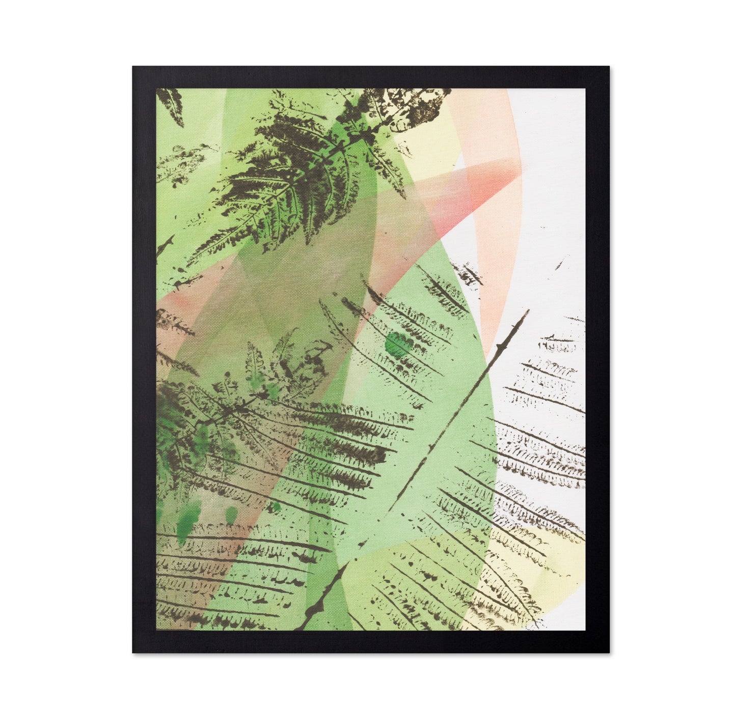 Geometric Ferns