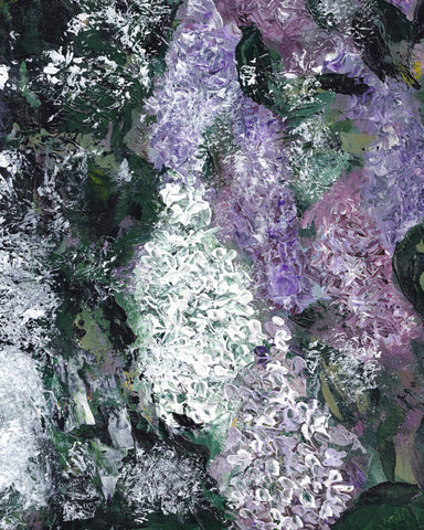 Lilac Bloom