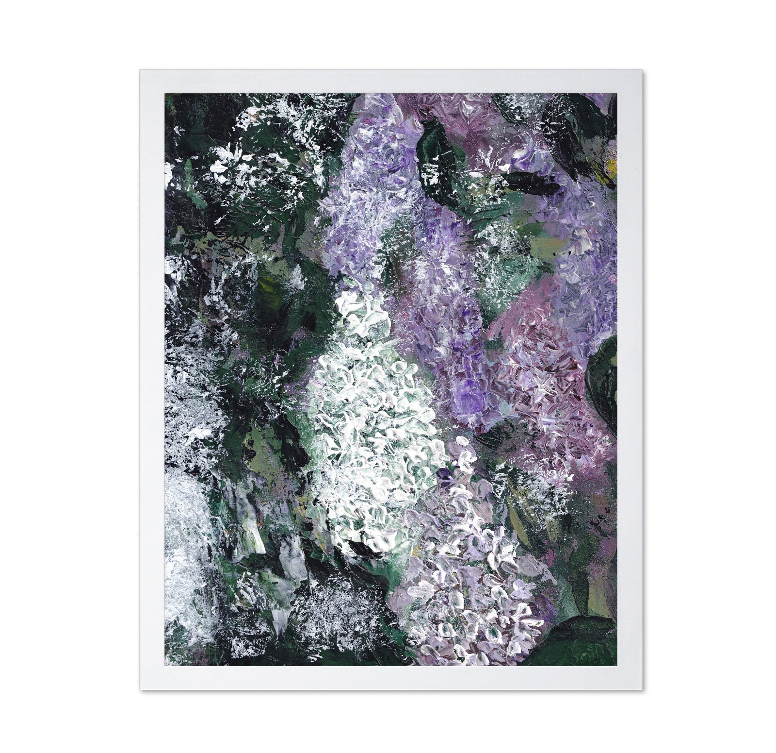 Lilac Bloom