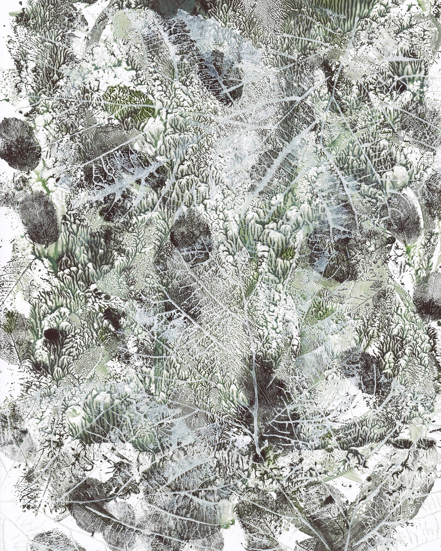 Botanical Texture No3