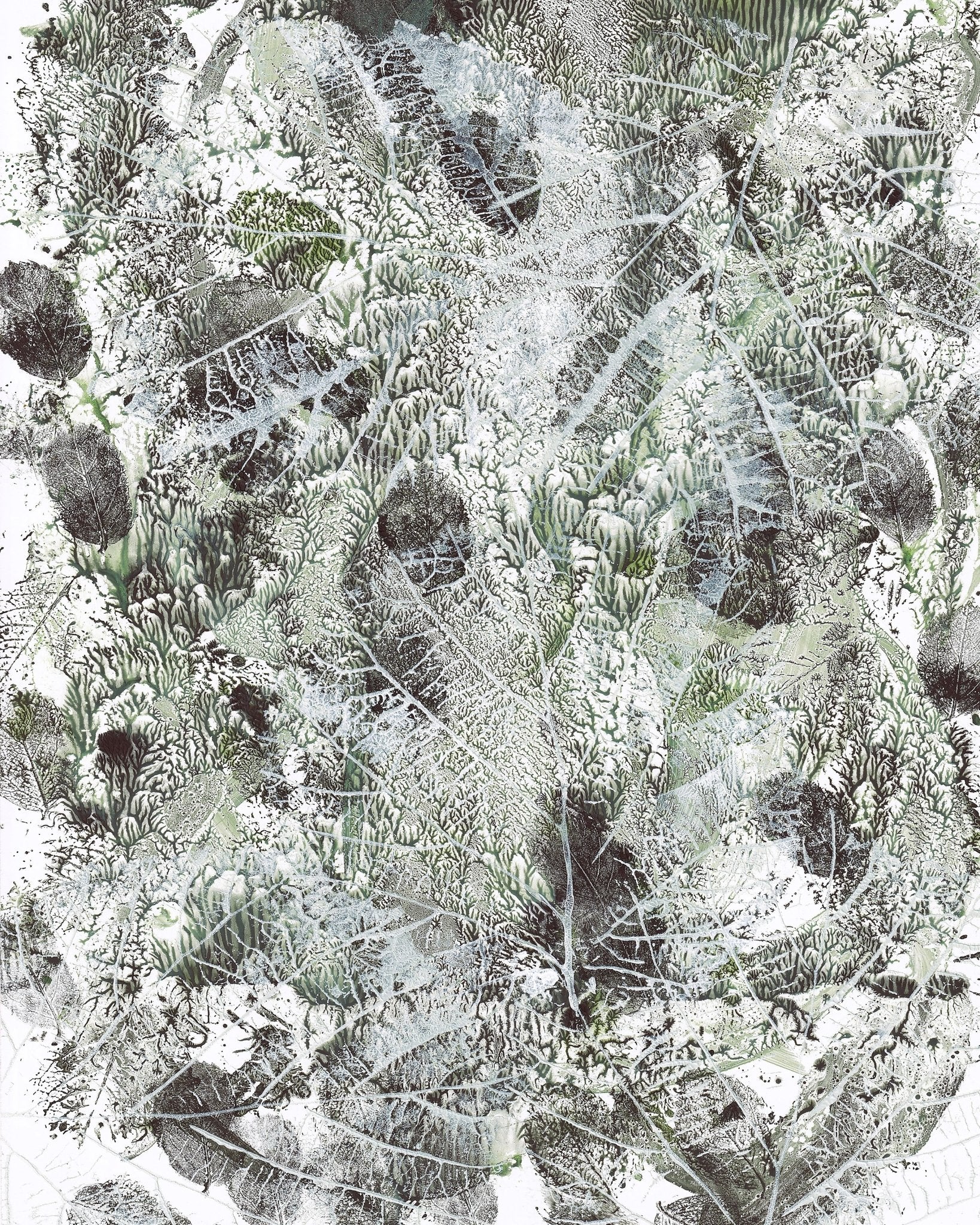 Botanical Texture No3