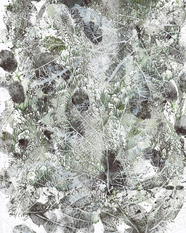 Botanical Texture No3