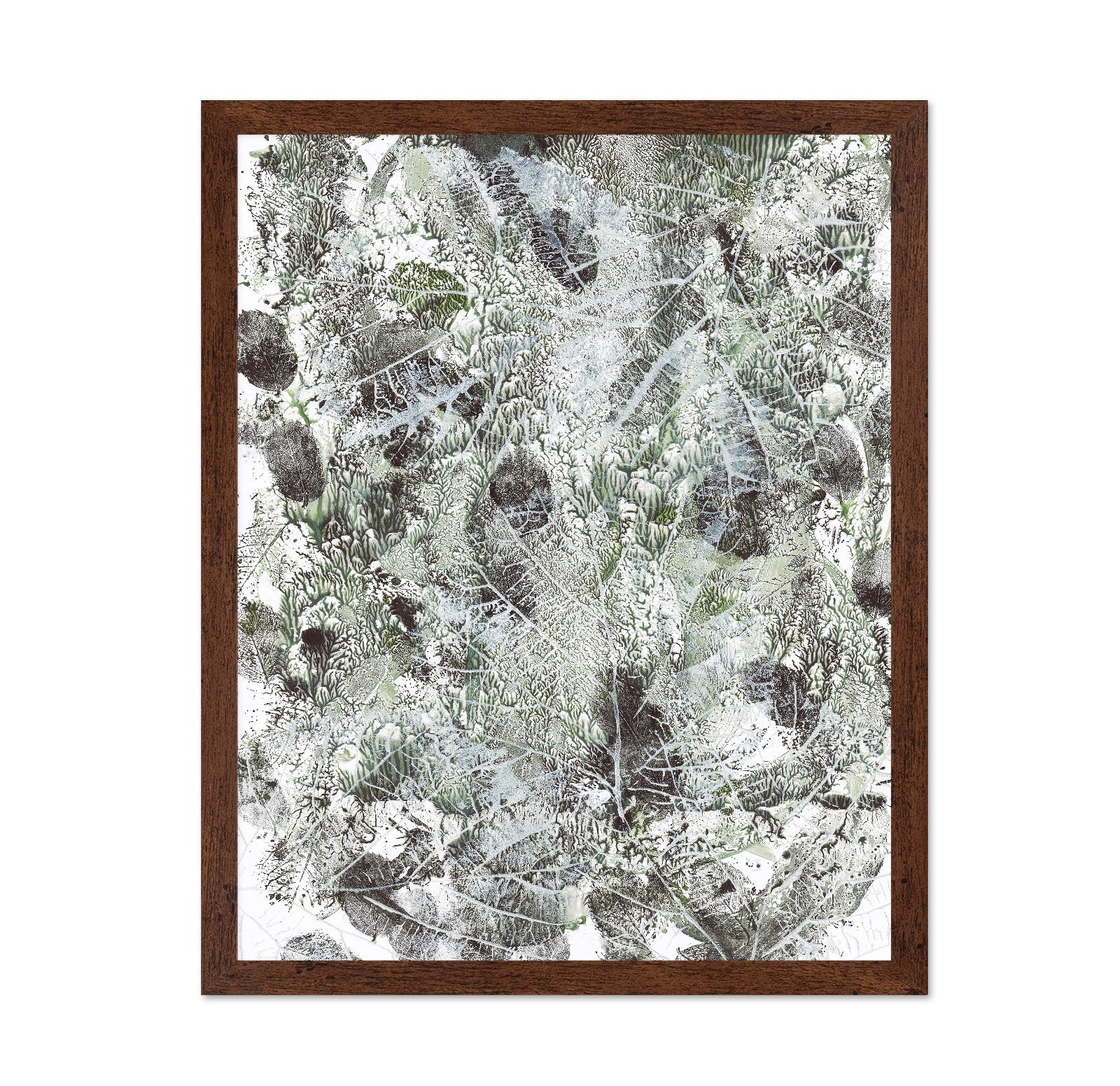 Botanical Texture No3